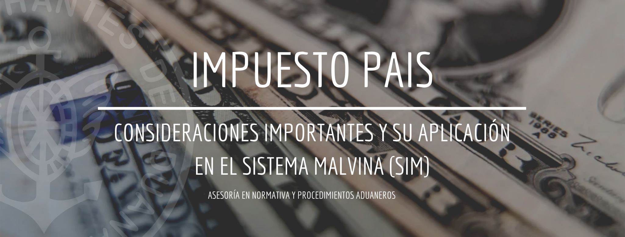 Consideraciones importantes sobre el Impuesto PAIS y su aplicación en el Sistema Malvina (SIM)