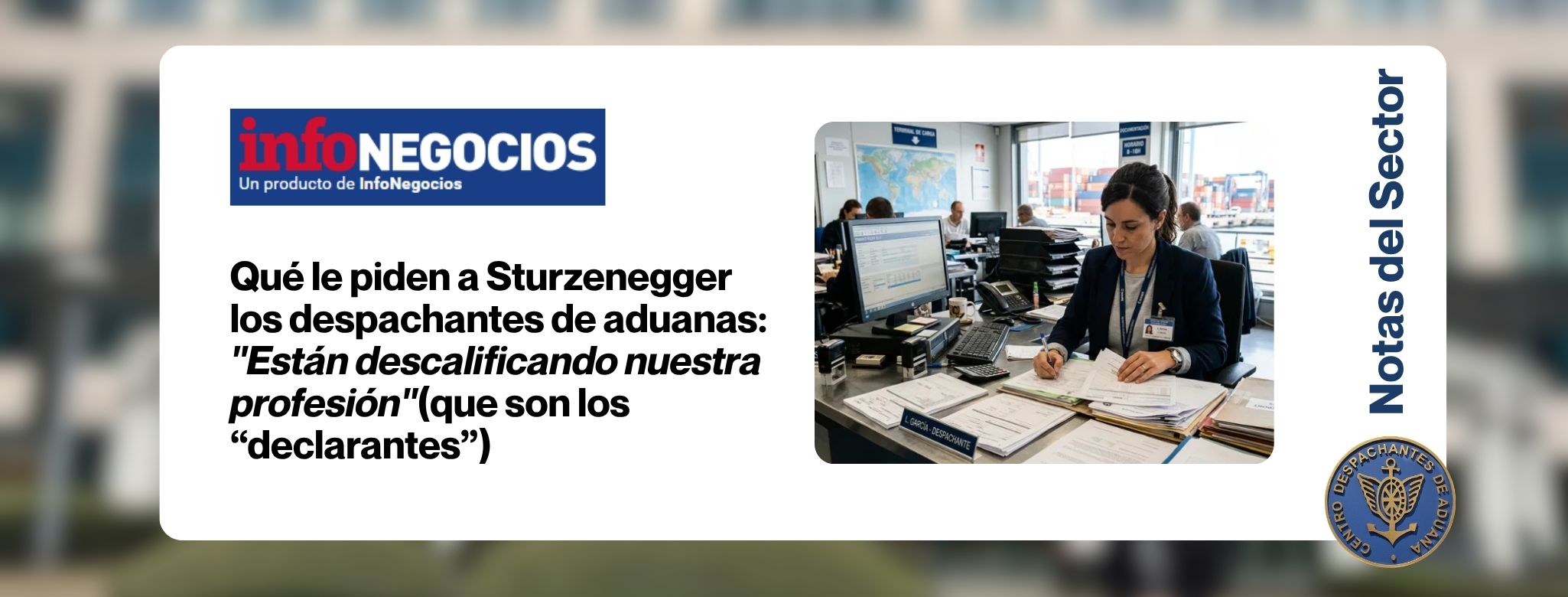 Qué le piden a Sturzenegger los despachantes de aduanas: