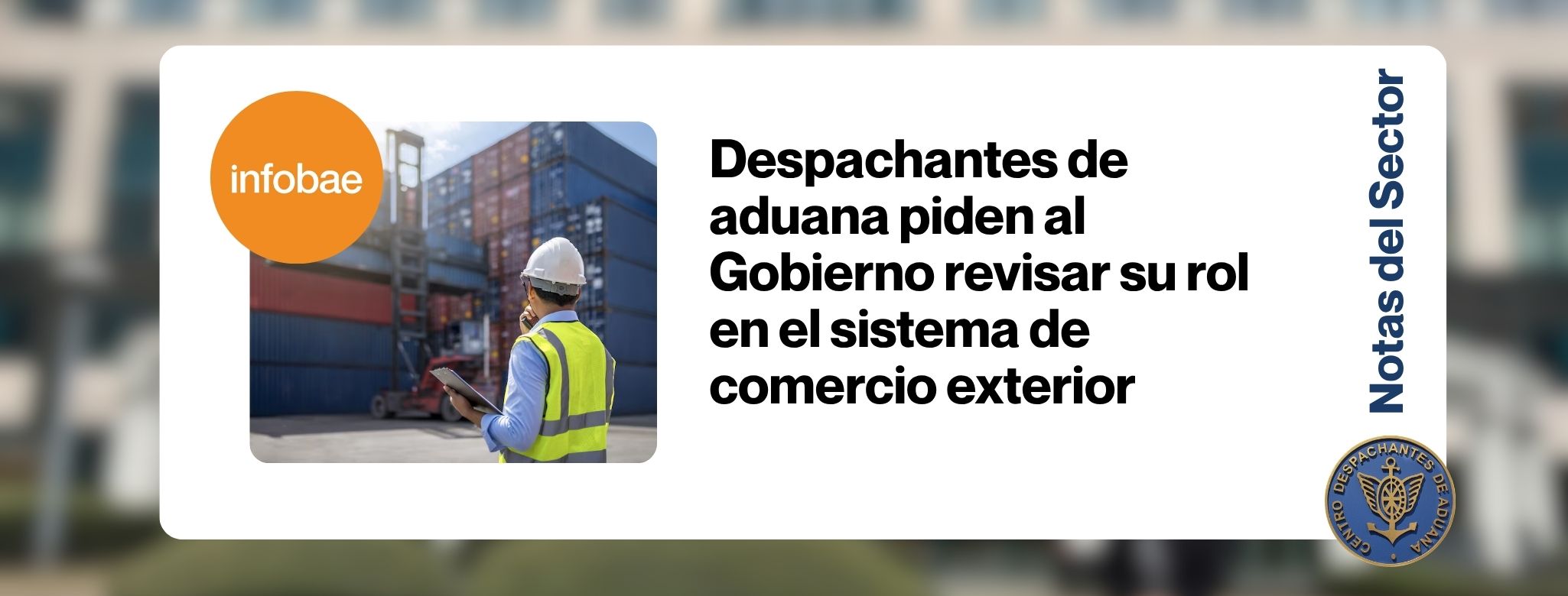 Despachantes de aduana piden al Gobierno revisar su rol en el sis